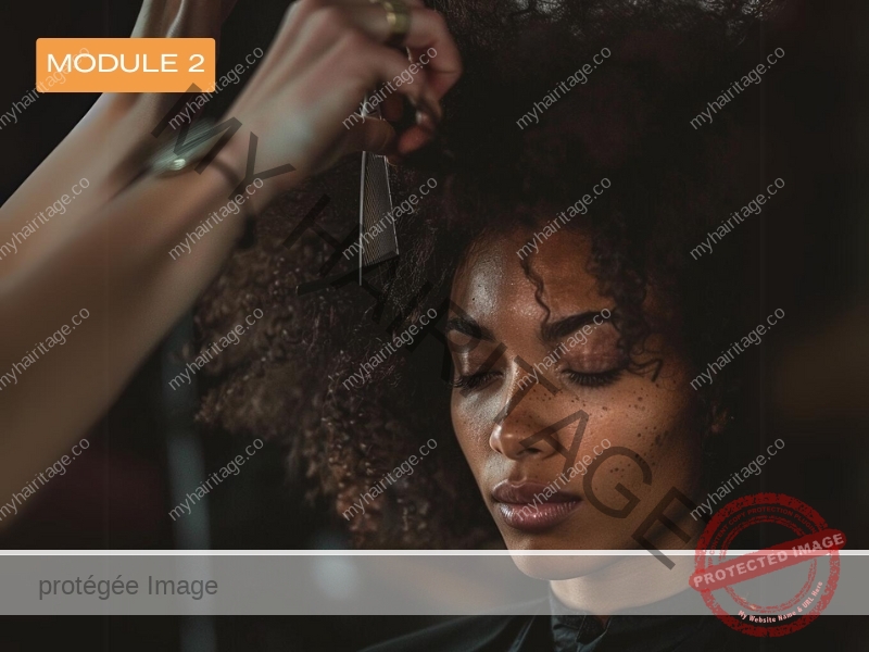 MY HAIRITAGE - Formation technique coiffure cheveux afro bouclés frisés crépus