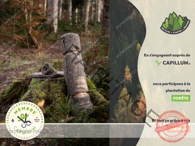 MY HAIRITAGE - Formation technique coiffure cheveux afro bouclés frisés crépus