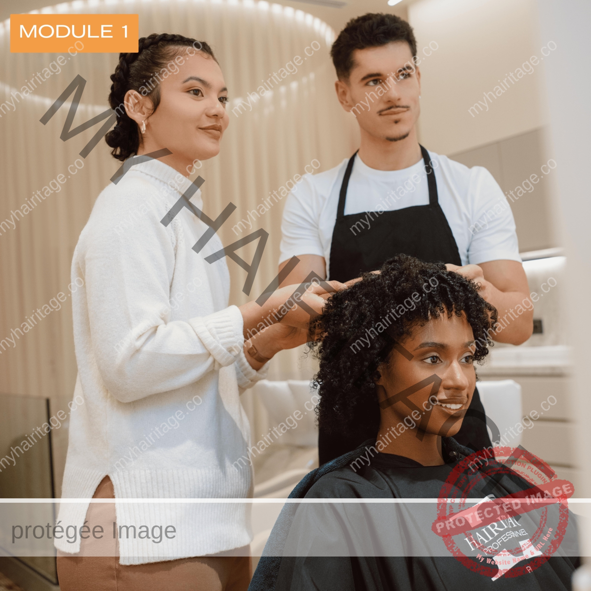 MY HAIRITAGE - Formation technique coiffure cheveux afro bouclés frisés crépus